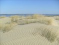/album/au-alentour-de-breuillet/dunes-%c3%a0-la-pointe-de-la-coubre-jpg/